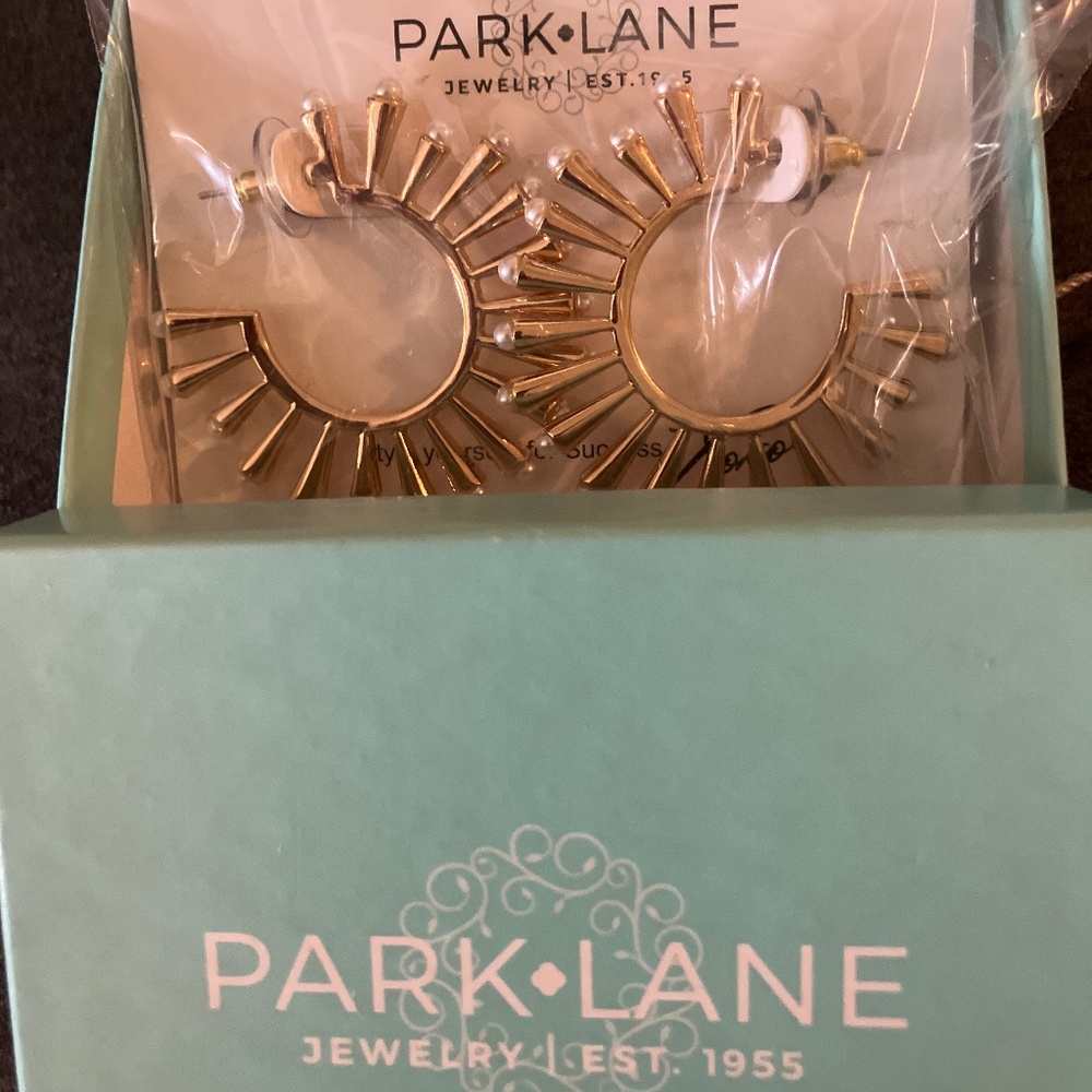Earrings - Picture 1 of 2